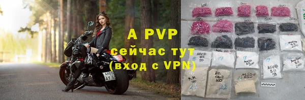 прущий лед Пересвет