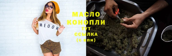 прущий лед Пересвет