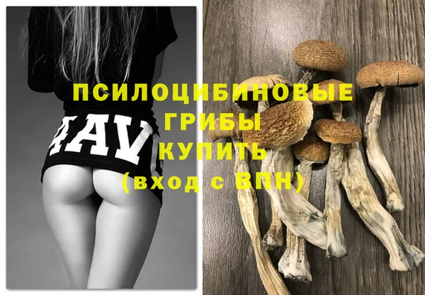 твердый Кизел