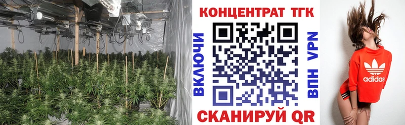 omg ТОР  Светлый  Дистиллят ТГК вейп  где продают наркотики 