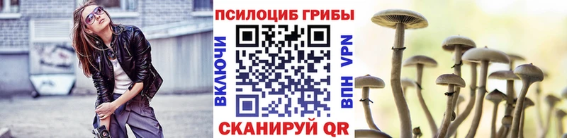 закладки  Светлый  Псилоцибиновые грибы мицелий 
